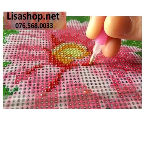 Tranh đính đá CỬU NGƯ QUẦN HỘI DF035  chưa đính