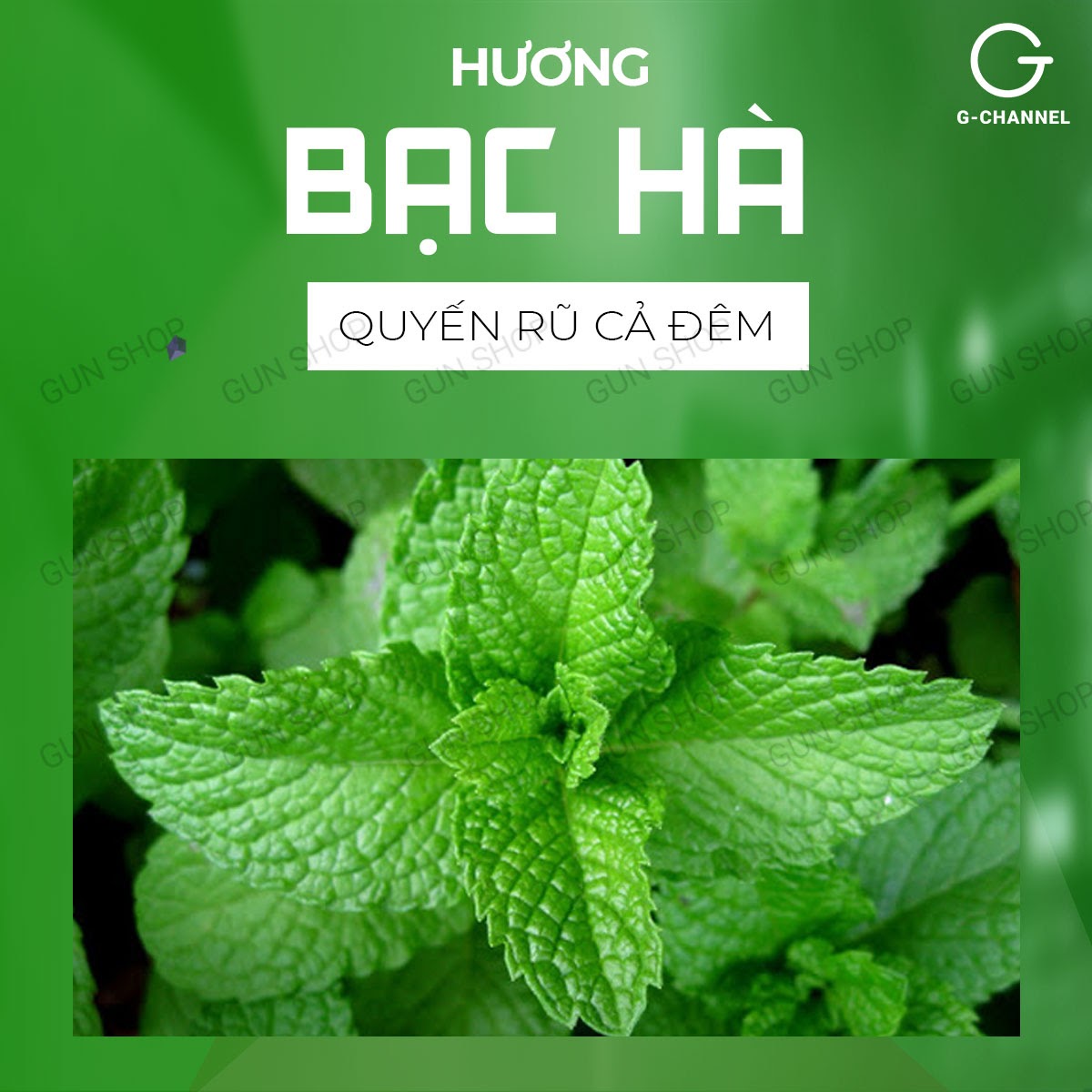 [Hộp 144 cái] Bao cao su OKHQ - Hương bạc hà kèm 1 chiếc BCS Gun Super Thin