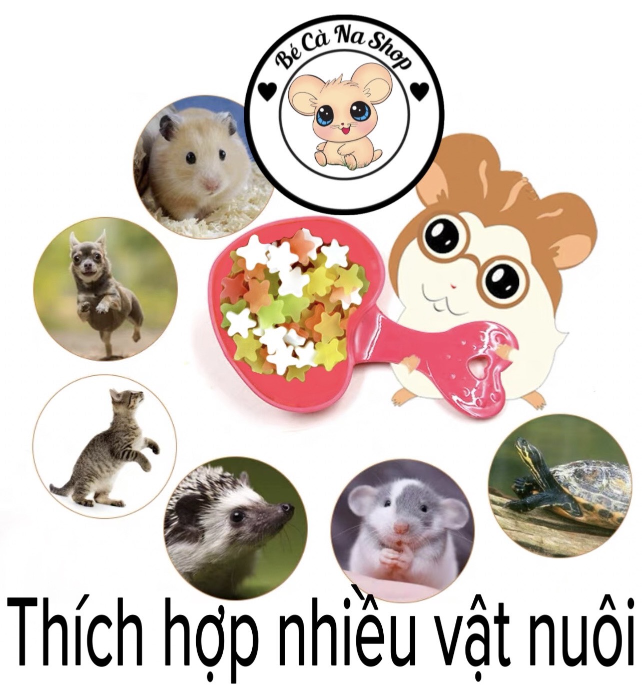 Viên nhai ngôi sao , sạch và khử mùi , thức ăn dặm sạch sẽ răng miệng cho hamster , thỏ bọ sóc chinchilla....