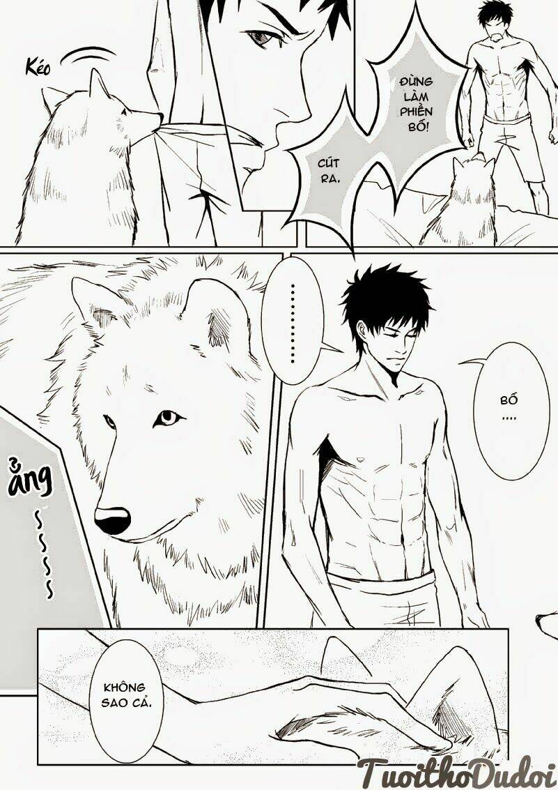 sự mê hoặc của sói chapter 15 10