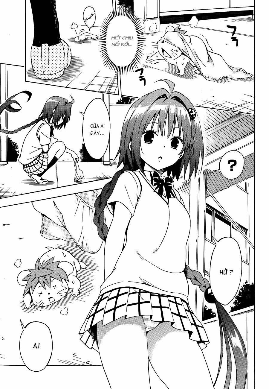 bọn tớ thích cậu! rito 2 - venus chapter 37 30