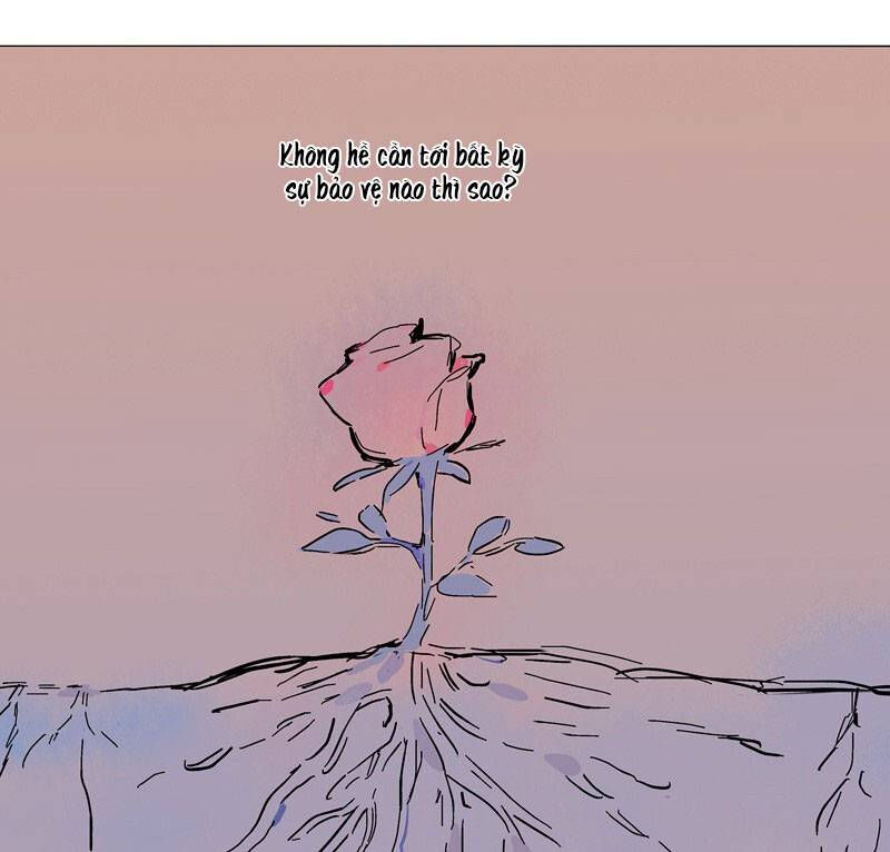 hộ vệ hoa hồng chapter 5 28