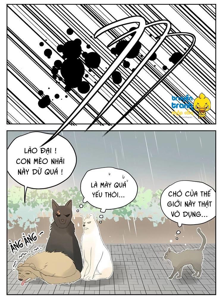 cứu mạng ! loài mèo thống trị thế giới rồi ! chapter 25 15