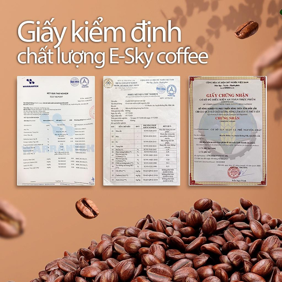 Cà Phê Rang Xay Nguyên Chất Signature E-SKY Coffee (Cafe Robusta - Arabica - Culi) Pha Phin Pha Máy Cold Brew 1kg-2kg