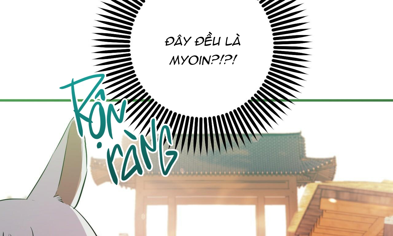 những chú thỏ của hapypy chapter 49 7