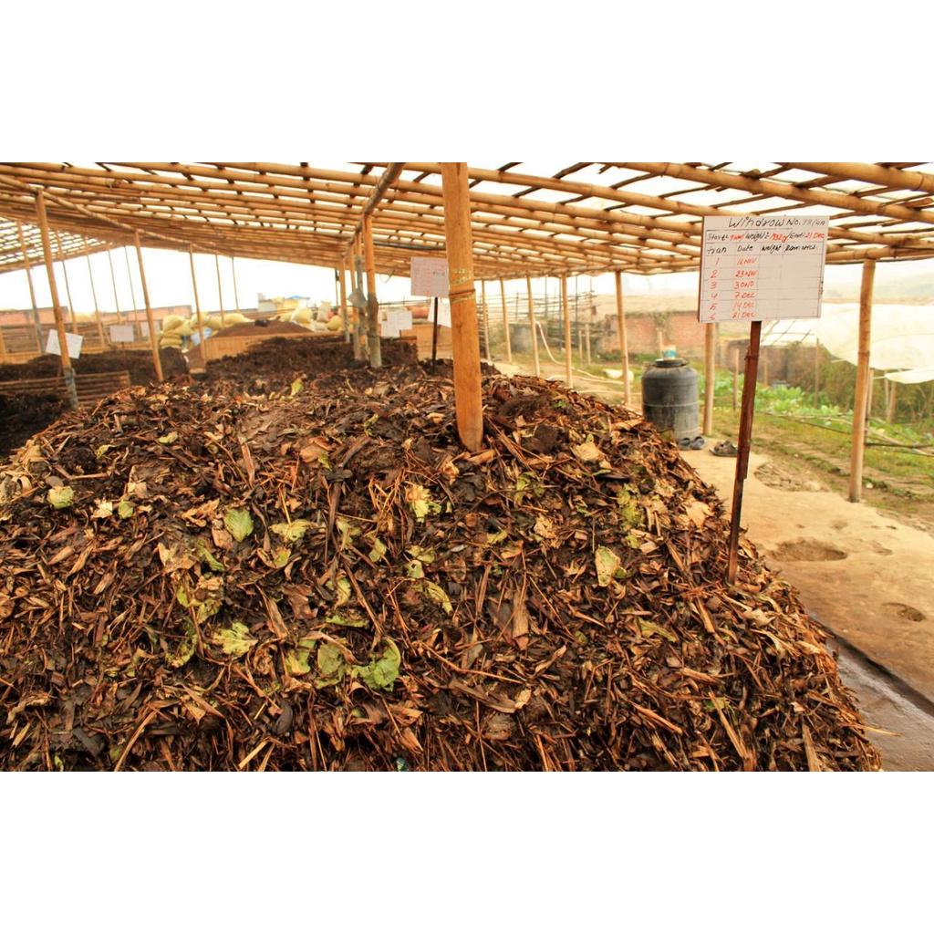 Hộp 1 kg Men ủ sinh học Trichoderma 20 tỷ bào tử nấm cải tạo đất - Shop hoa cây cảnh Hà Nội