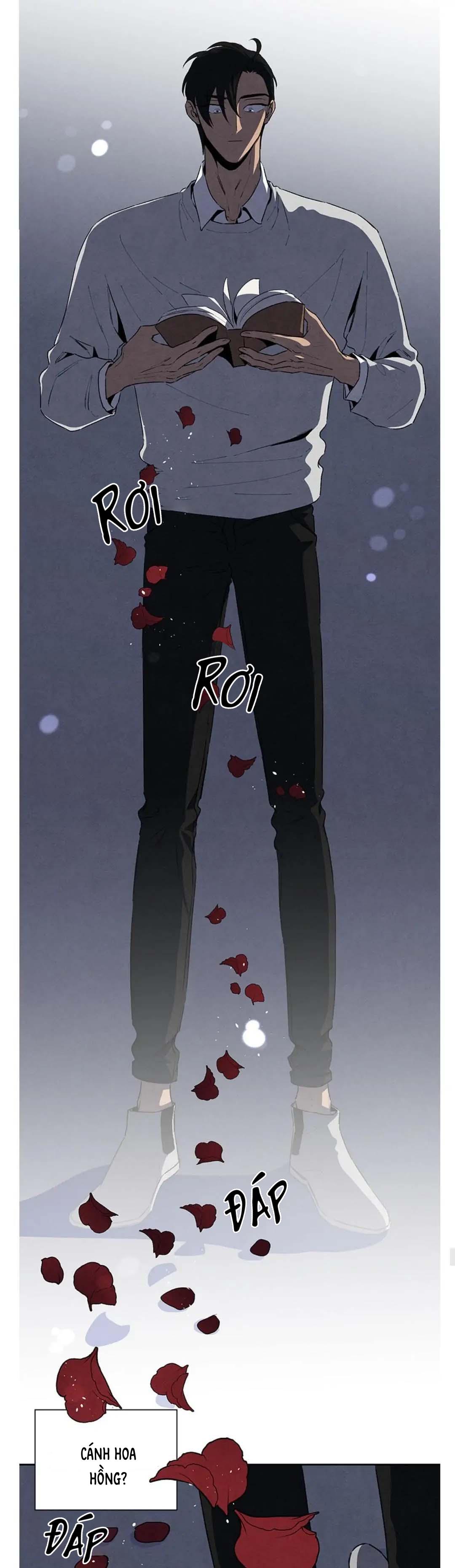 bona sort chapter 39 8