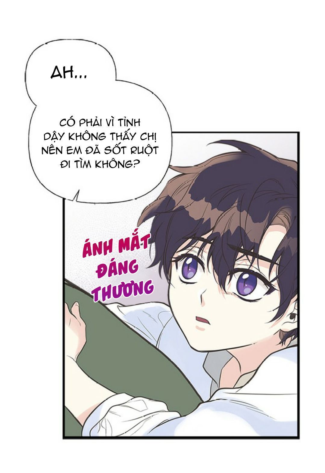 chị tôi đã nhặt về một nam chính quyến rũ chapter 8 31