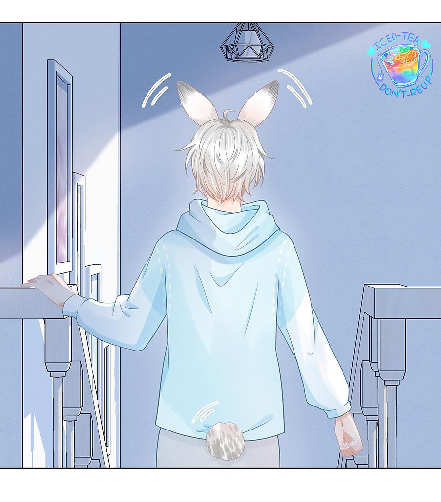 [ss2] một ngụm ăn cả thỏ con chapter 0 42