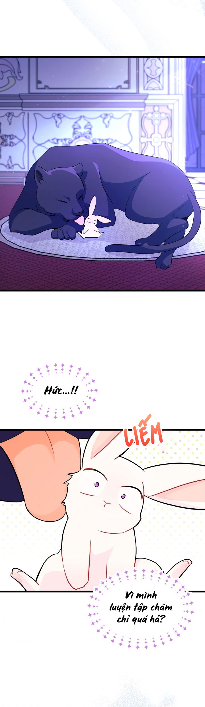 mối liên kết giữa báo đen và bé thỏ chapter 23 33