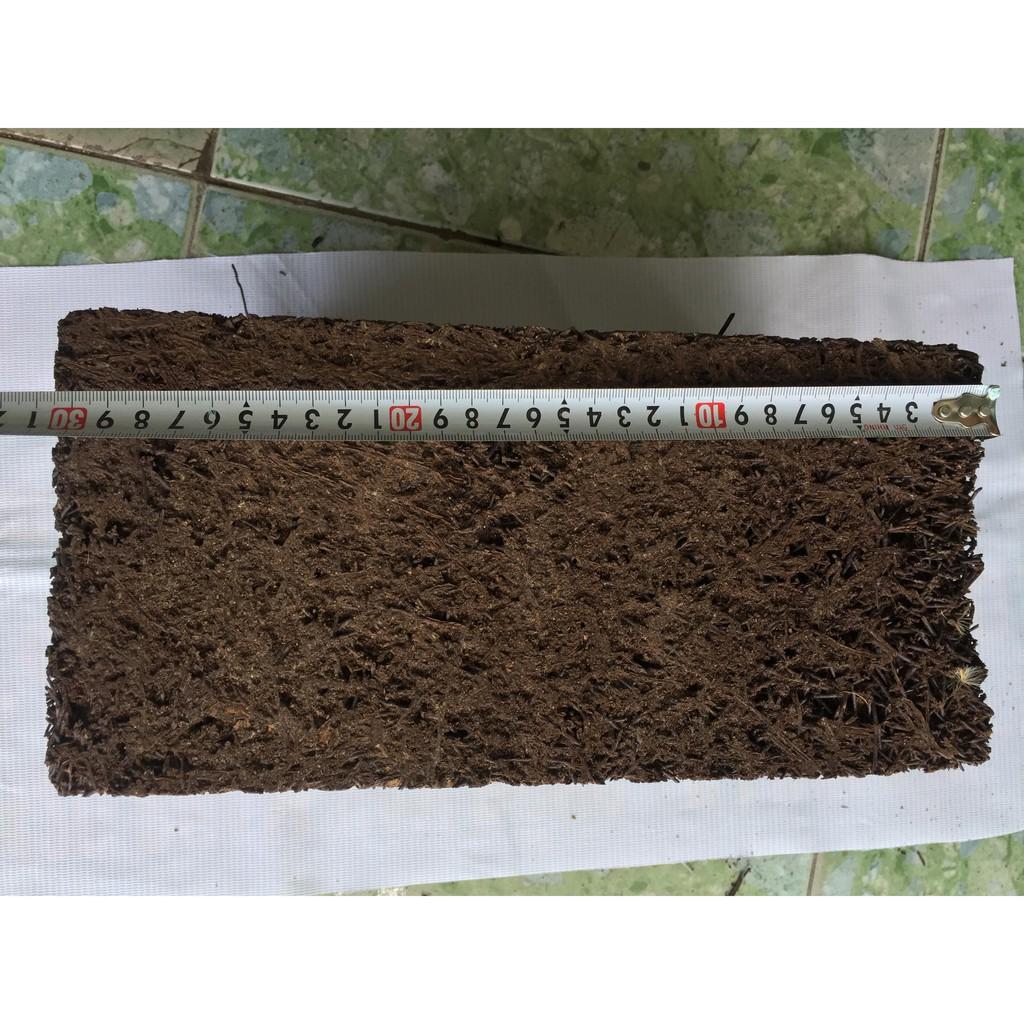 02 bản dớn 12x30x3mm