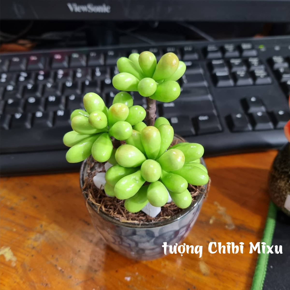 Chậu sen đá bằng đất sét Nhật - mẫu 02