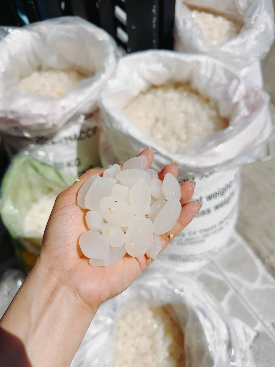 1kg Hạt Đác Tươi Thanh Mát Dẻo Ngon