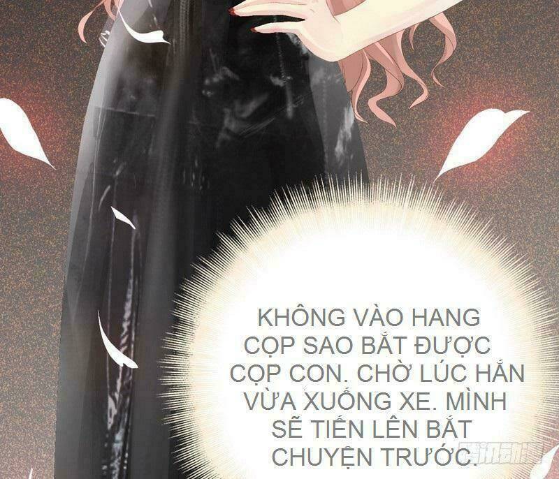 thần bí đế thiếu điềm sủng thê chapter 14 13