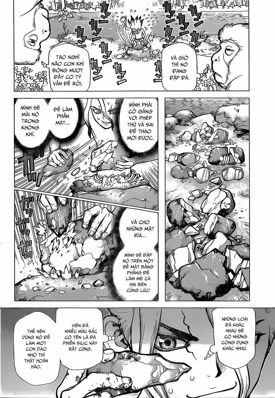 dr.stone - hồi sinh thế giới chapter 13 12