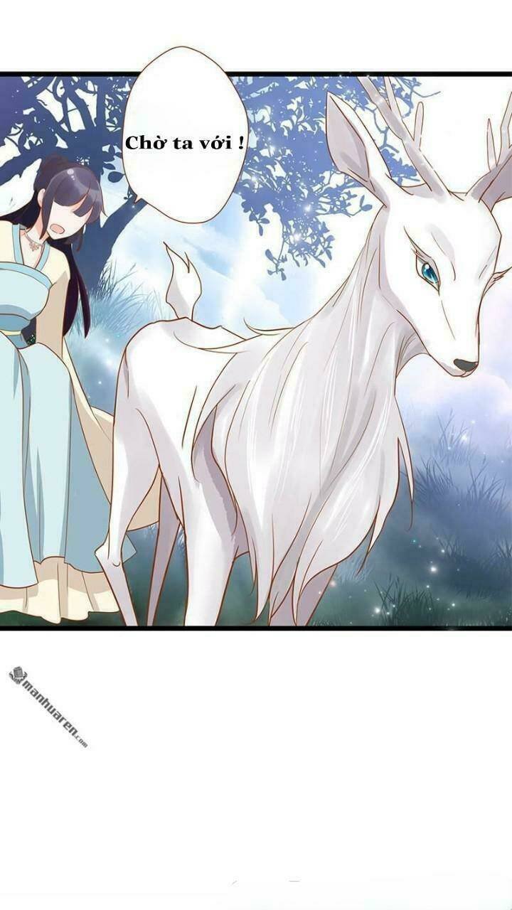 định mệnh giữa vị thần và tiểu cô nương chapter 2 11