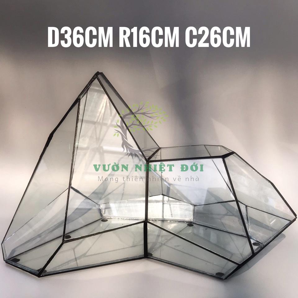 Bể Terrarium Đa Giác Setup Bán Cạn Để Bàn Làm Việc
