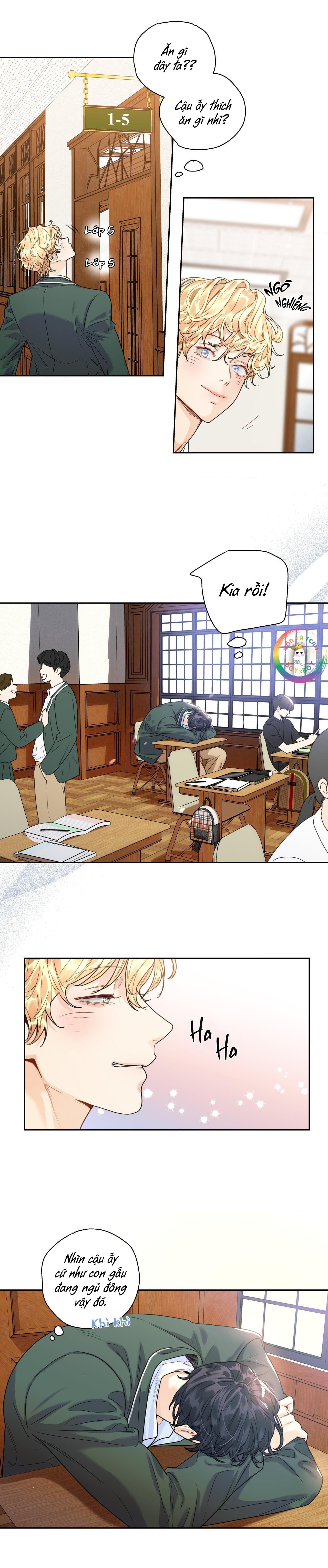 love is an illusion! superstar chapter 8 4