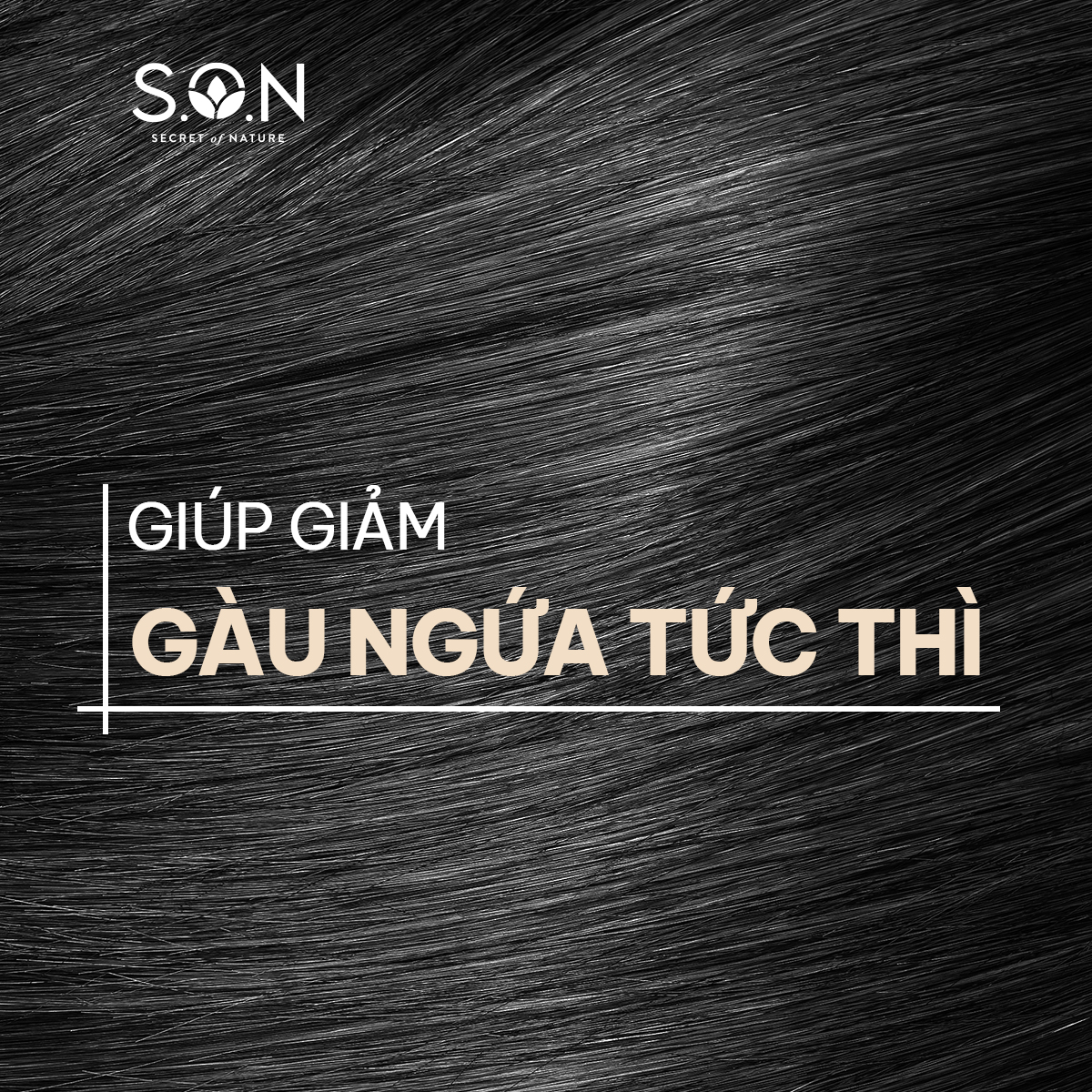 Dầu gội bồ kết &amp; ngải cứu S.O.N giảm gàu ngứa và dầu nhờn, mềm mượt tóc