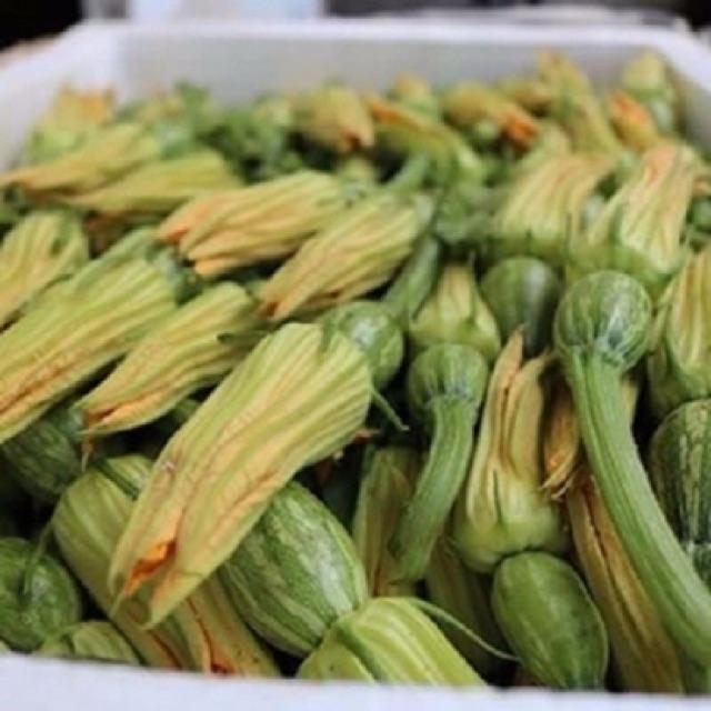 Hạt Giống Bí Siêu Nụ - Bí Ăn Nụ 10gr