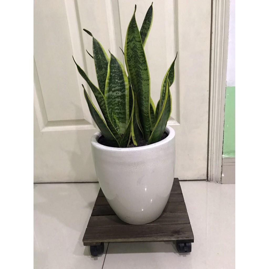 ĐẾ LÓT CHẬU CÂY, CHẬU HOA CÓ BÁNH XE VUÔNG 30CM - GỖ TRÀM MÀU NÂU