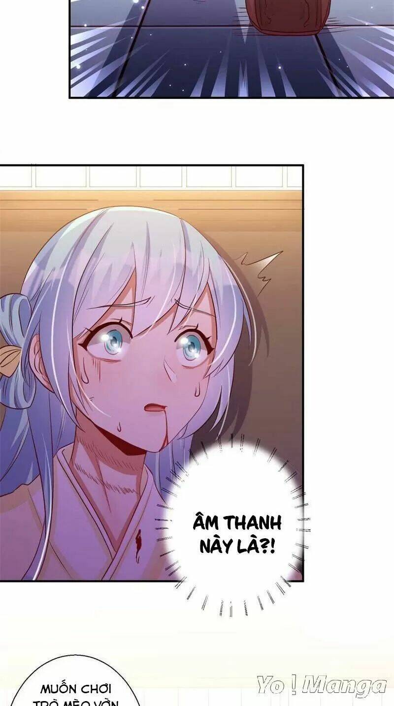 độc y cuồng phi chapter 62 11