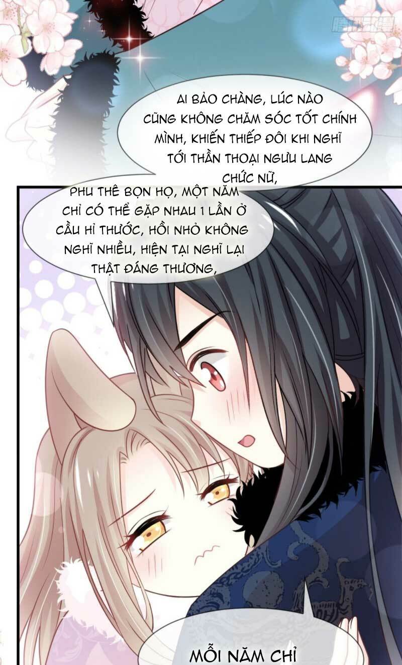 thiên hạ đệ nhất sủng phi chapter 204.1 14