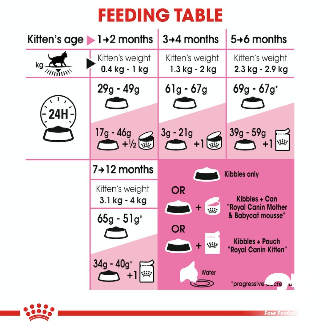 Thức Ăn Hạt Khô Cho Mèo Con từ 4-12 tháng tuổi Royal Canin Kitten 36 Bao 2KG