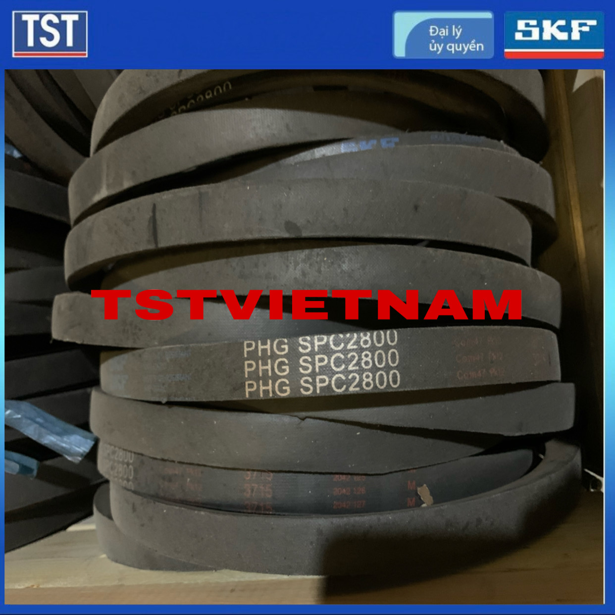 - Dây đai SKF PHG SPC2800 (Hàng chính hãng 100%)