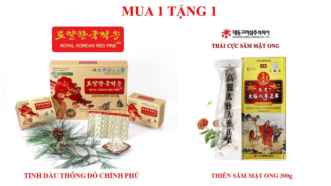 Combo Tinh dầu thông đỏ Hoàng Gia Hàn Quốc 120 viên Royal Korean Red Pine TẶNG 01 hộp Thái cực sâm (Thiên sâm) mật ong 300gram Daedong Korea Ginseng