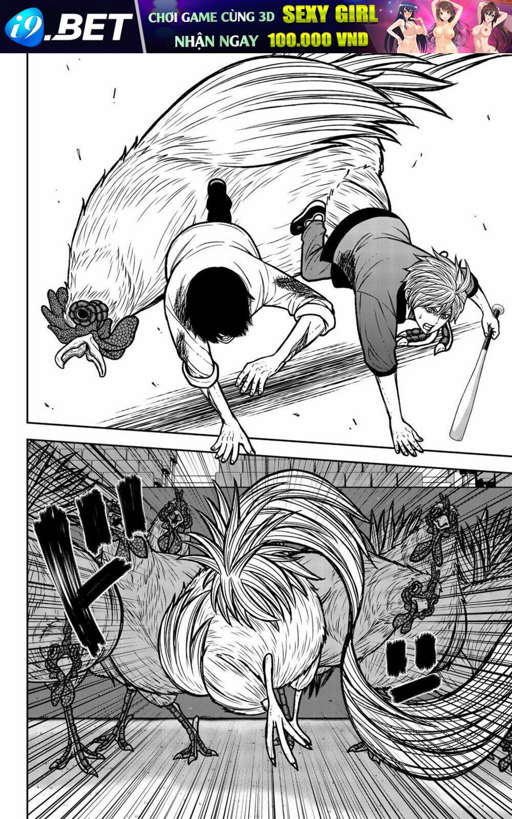 tiếng gáy sát thủ chapter 49 2