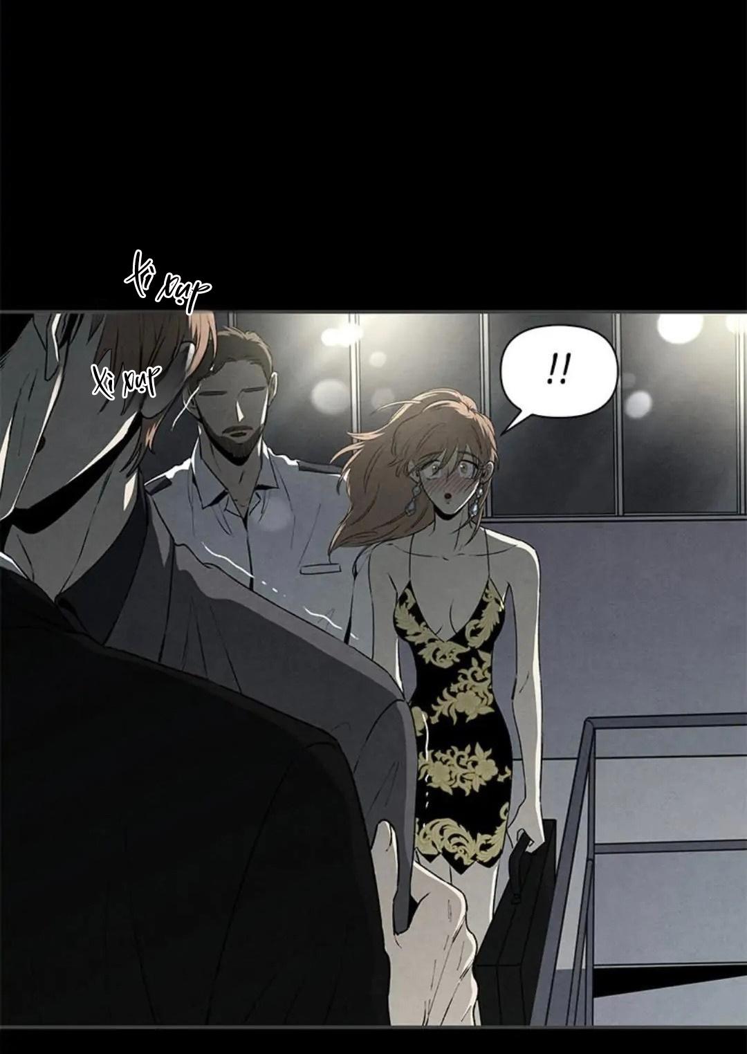 bona sort chapter 36 45