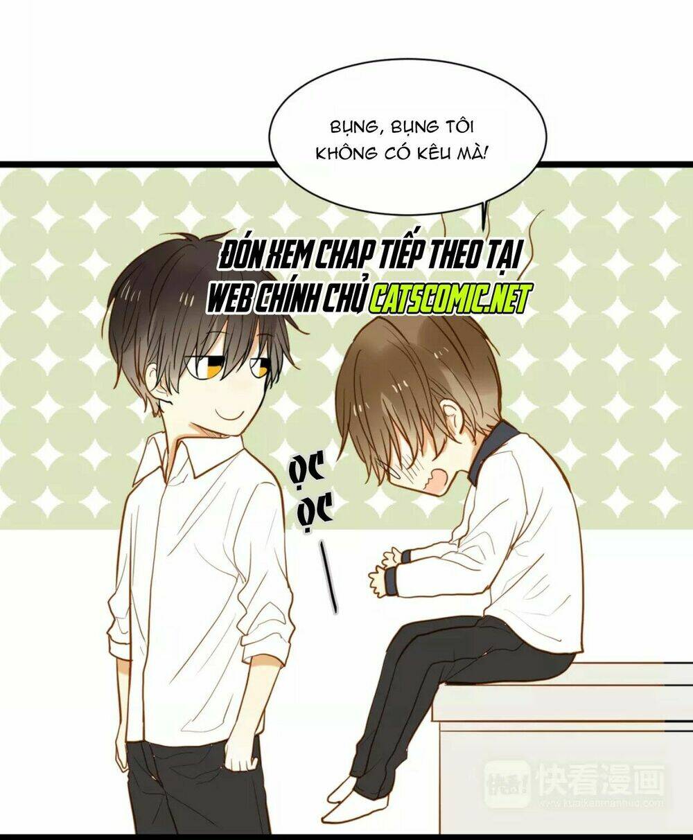 điều giáo quan hệ chapter 23 10