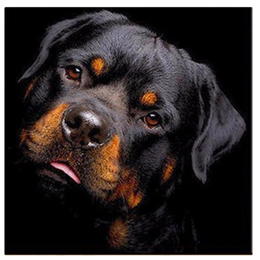 DIY Diamond Painting Kit Full Black Dog 5D Rhinestone Embroidery Home Decor