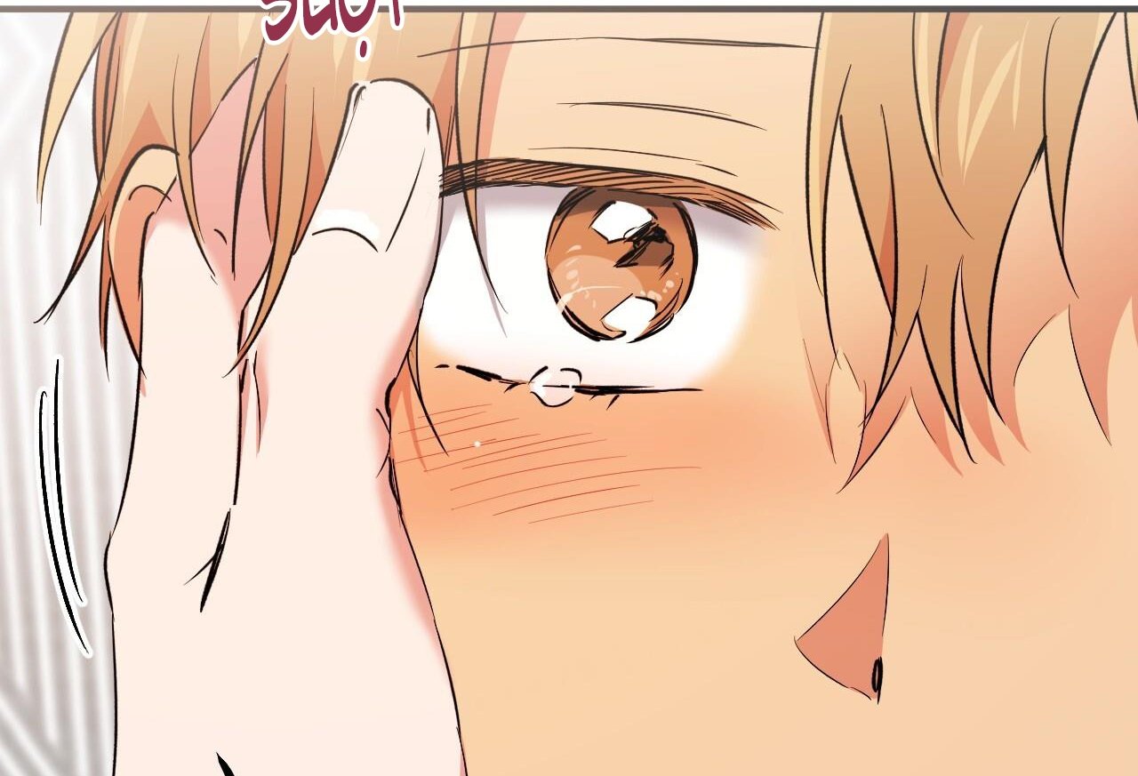 những chú thỏ của hapypy chapter 61 75