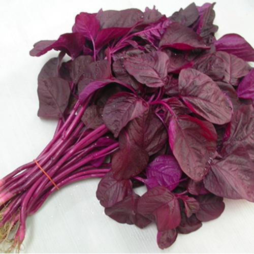 Hạt giống rau Dền Đỏ 50gram