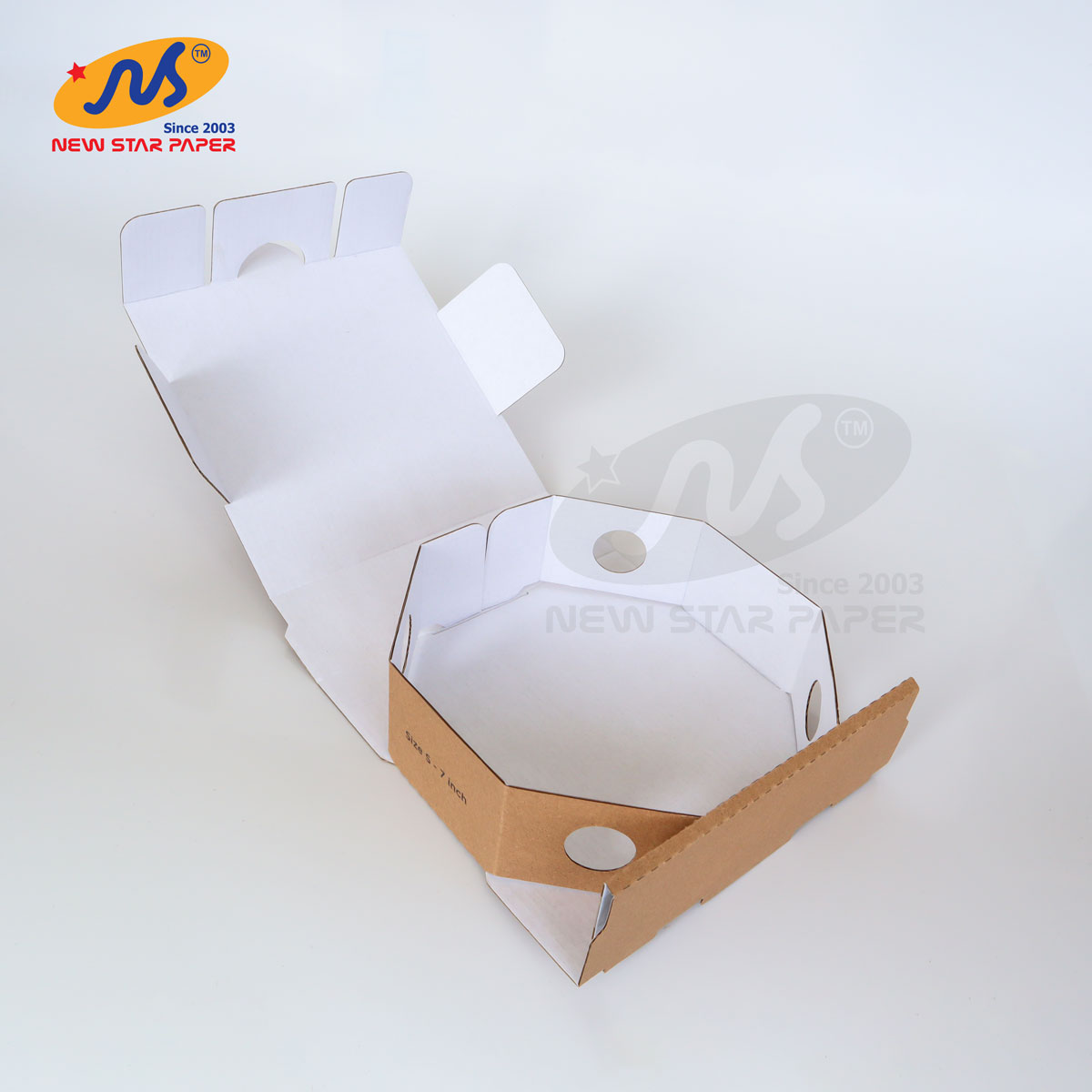 Hộp carton đựng bánh Pizza 17x17x5