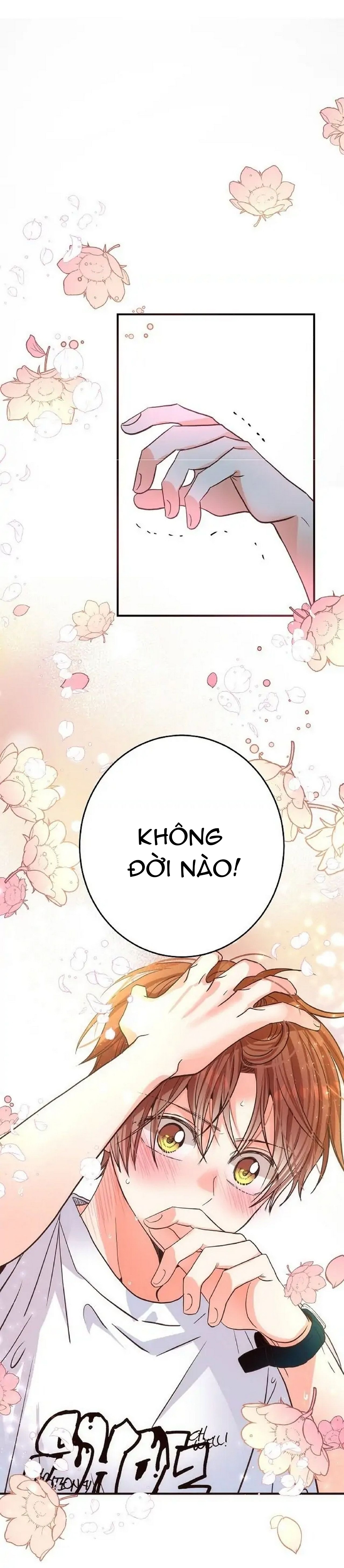 mối quan hệ phù hợp chapter 17 2