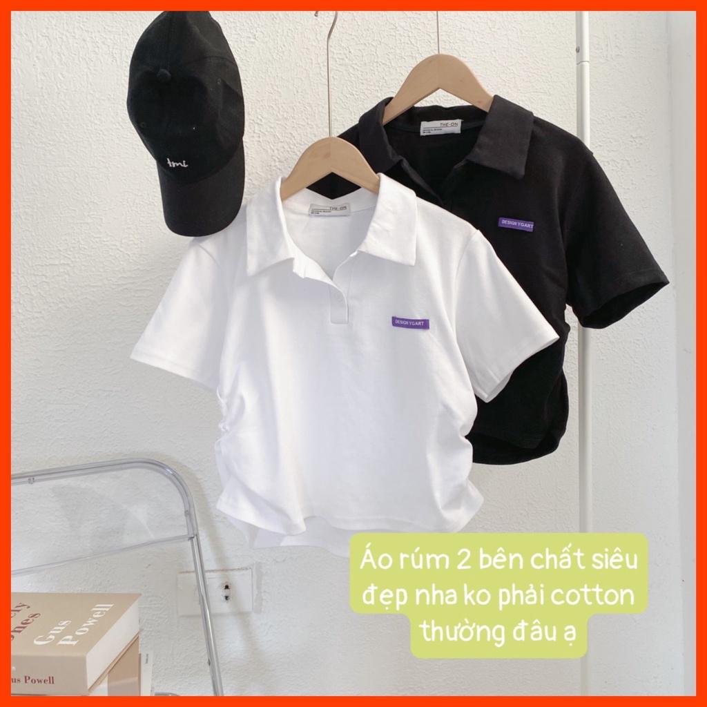 Áo polo croptop trơn rút hông chất coton dày tag logo P80L Lyn Closet
