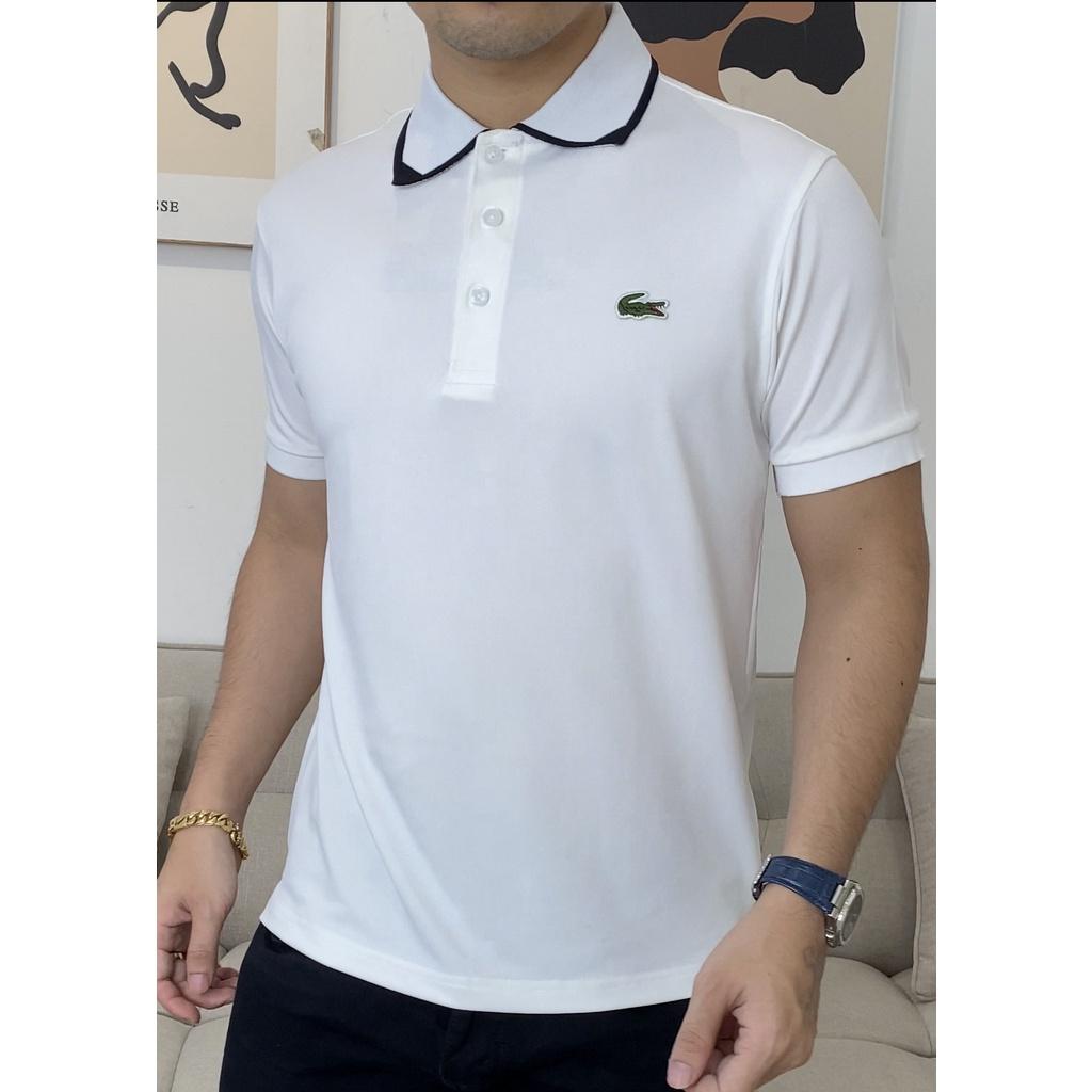 Áo polo nam cao cấp - chất cotton 100%