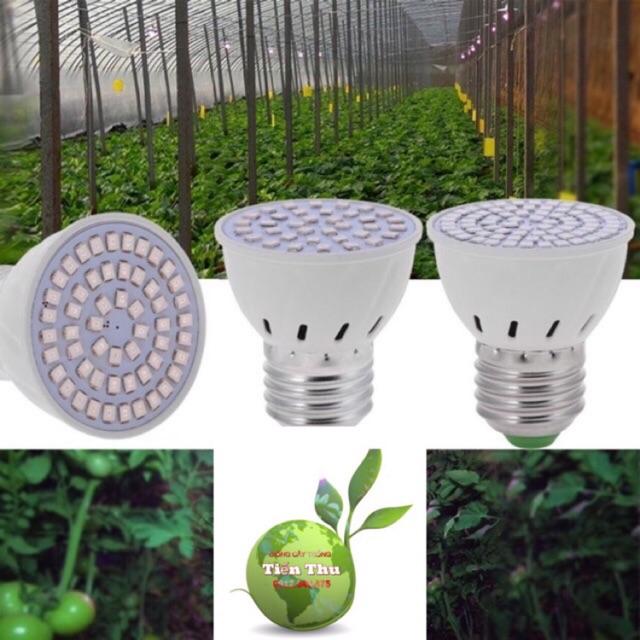 SET 3 chiếc Đèn LED quang phổ toàn phần trồng cây