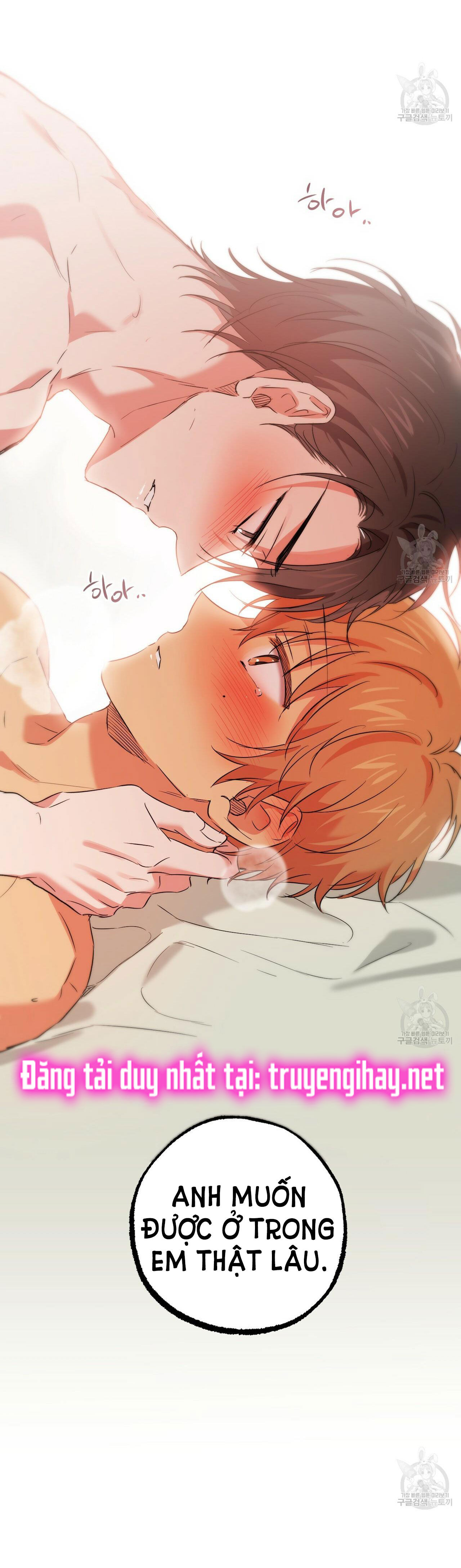 những chú thỏ của hapypy chapter 54.2 39