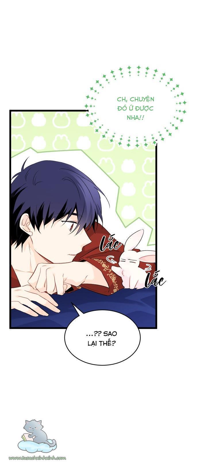 quan hệ cộng sinh giữa báo đen và thỏ trắng chapter 46 64