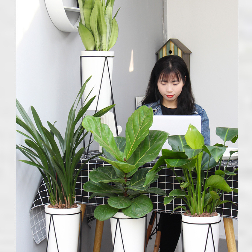 Chậu trồng cây Oliz A409. Chậu nhựa trồng cây tự dưỡng có giá chân bằng thép