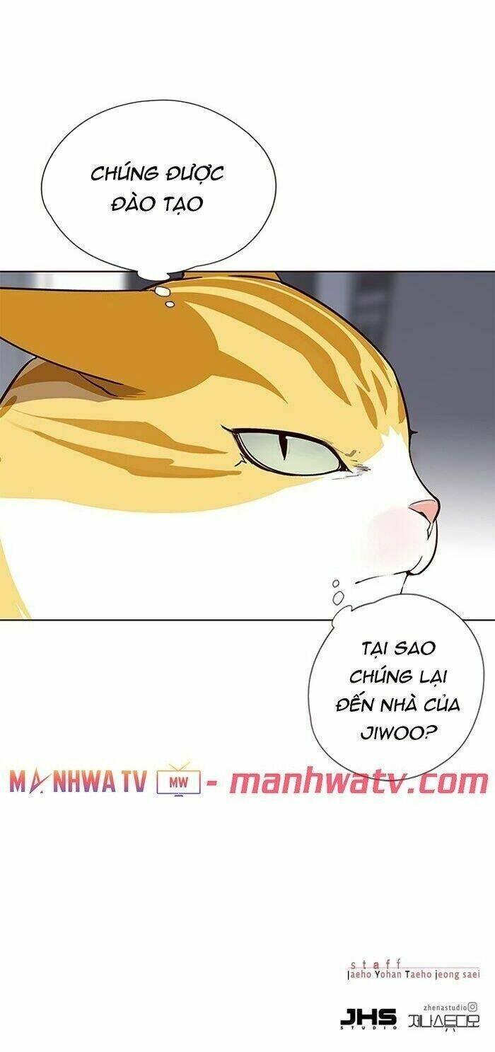 biến thân thành mèo chapter 57 54