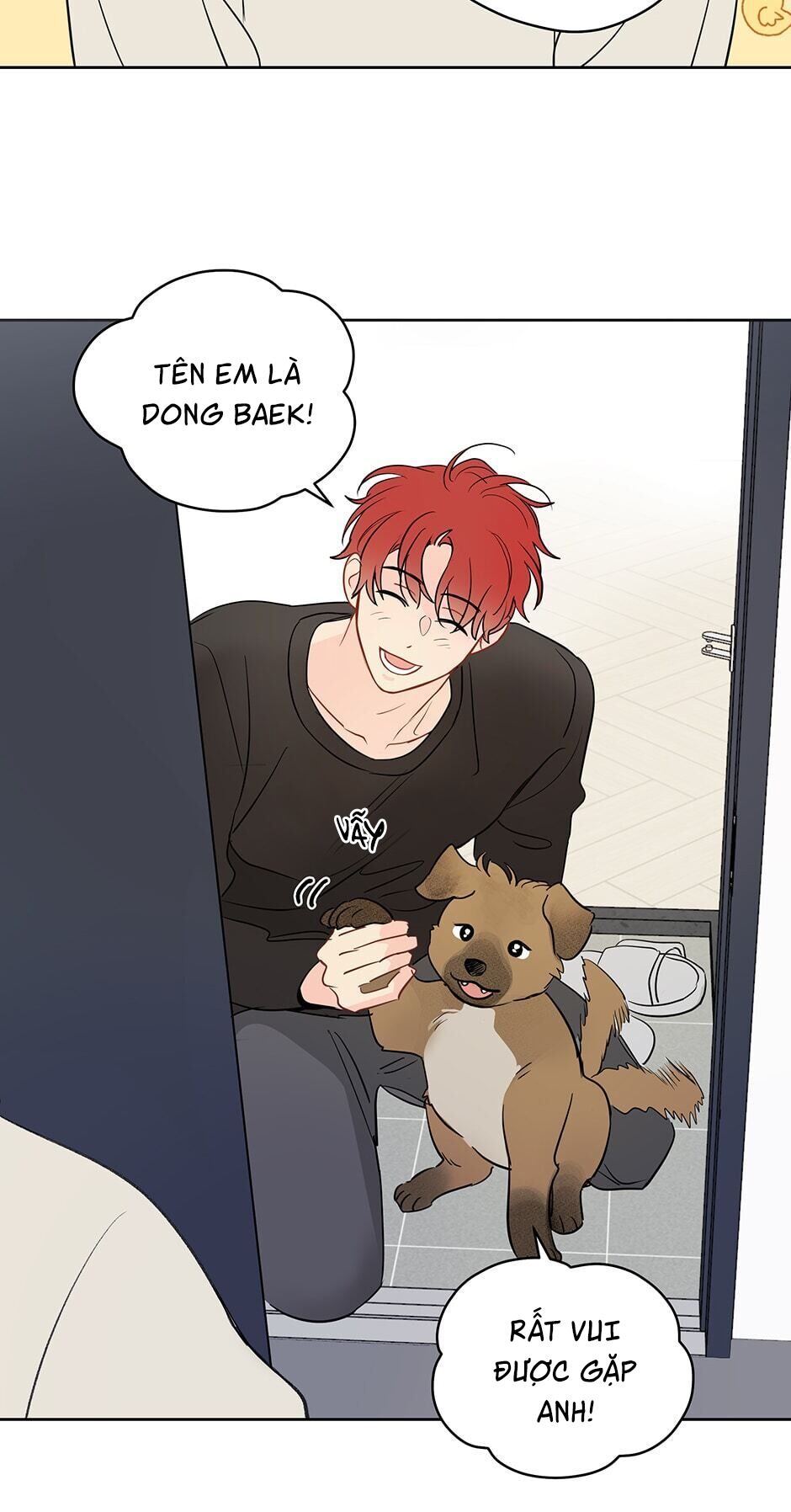 chỉ là giấc mơ thôi phải không? chapter 41 18