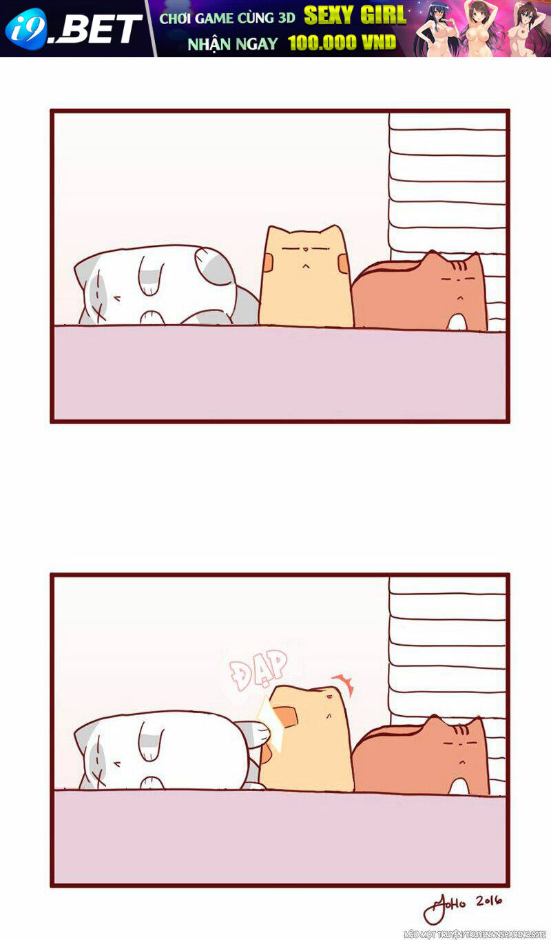 saphie: chú mèo một mắt chapter 10 22