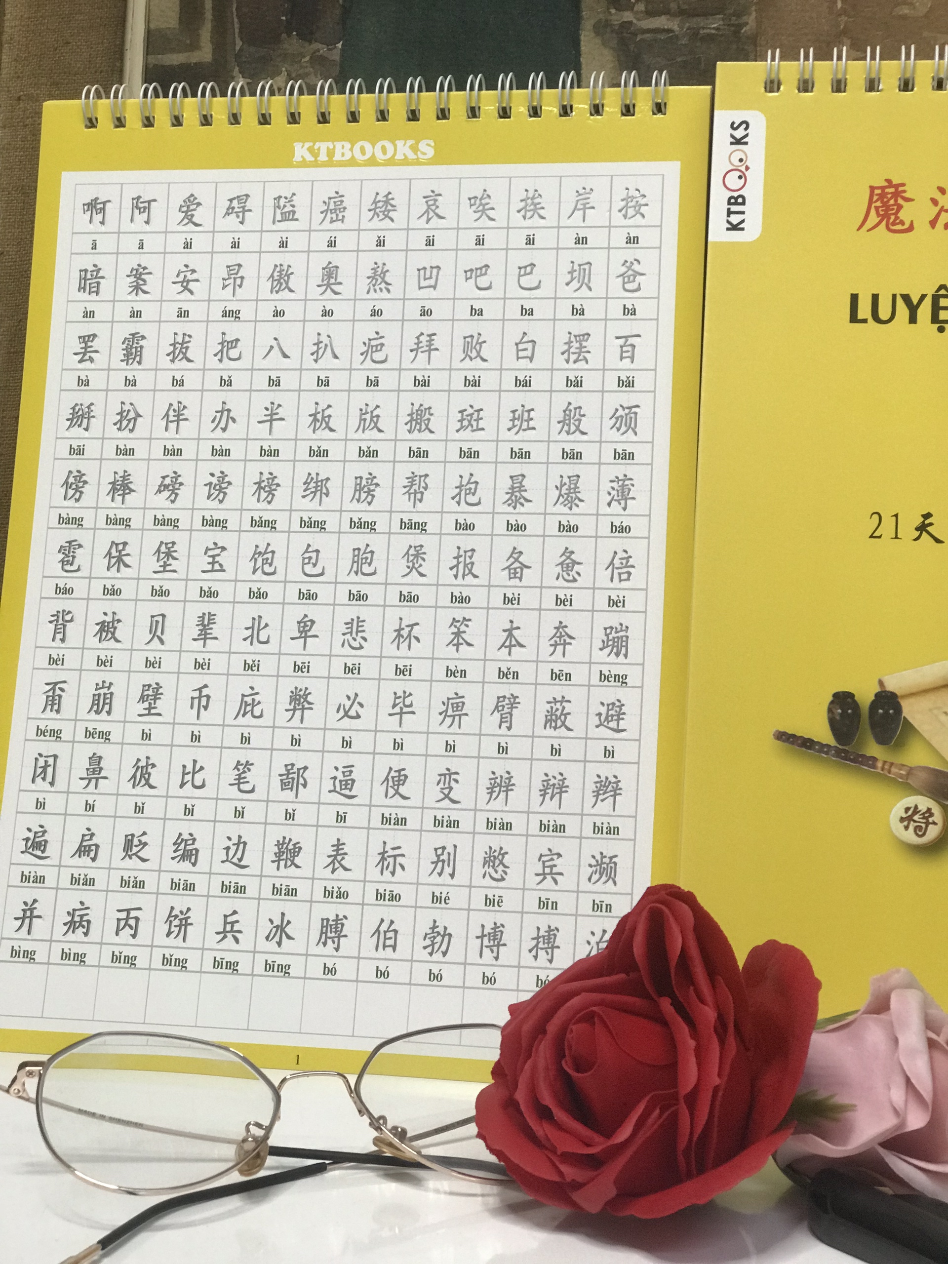 Bộ Luyện Viết Chữ Hán Thần Tốc Tập 1 + 2 (Tiếng Trung giản thể có bính âm Pinyin, kèm 30 ruột bút mực tự bay màu, 1 bỏ bút, 1 tỳ tay cao su, giải nghĩa kèm DVD tài liệu)