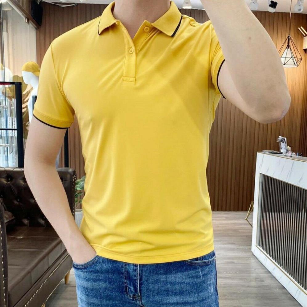 Áo phông nam ngắn tay cổ bẻ phối viền cao cấp : Kiểu dáng Hàn Quốc chất liệu cotton , co giãn 4 chiều