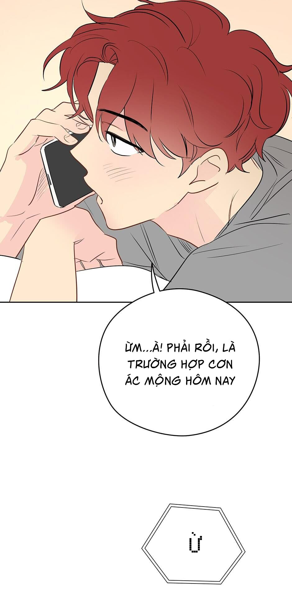 chỉ là giấc mơ thôi phải không? chapter 19 52